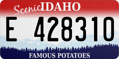 ID license plate E428310