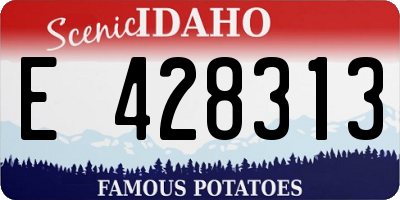 ID license plate E428313