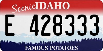 ID license plate E428333
