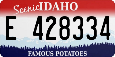 ID license plate E428334