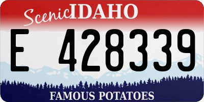 ID license plate E428339