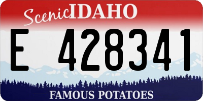 ID license plate E428341
