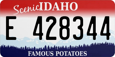 ID license plate E428344