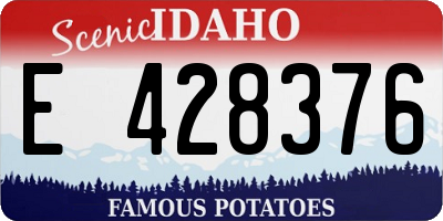 ID license plate E428376