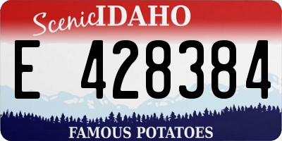 ID license plate E428384