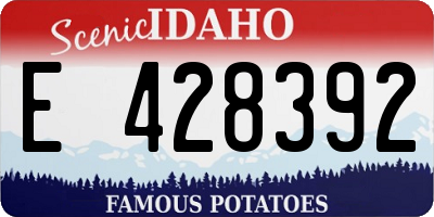 ID license plate E428392