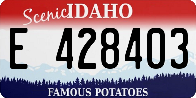 ID license plate E428403