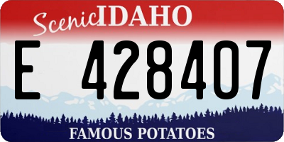 ID license plate E428407