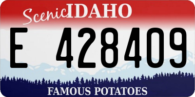 ID license plate E428409
