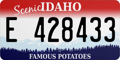 ID license plate E428433