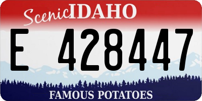 ID license plate E428447