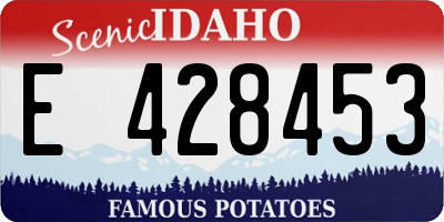 ID license plate E428453