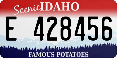 ID license plate E428456