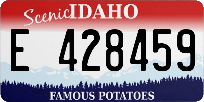 ID license plate E428459