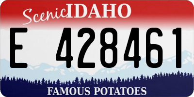 ID license plate E428461