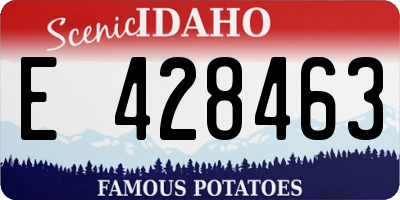 ID license plate E428463
