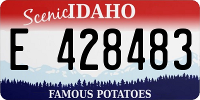 ID license plate E428483