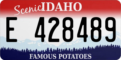 ID license plate E428489