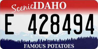 ID license plate E428494