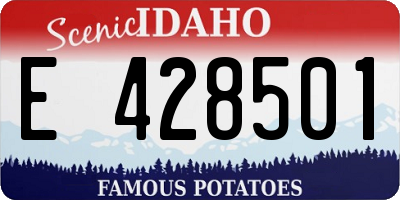 ID license plate E428501