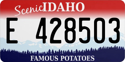 ID license plate E428503