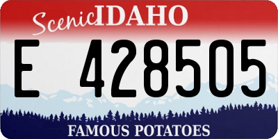 ID license plate E428505