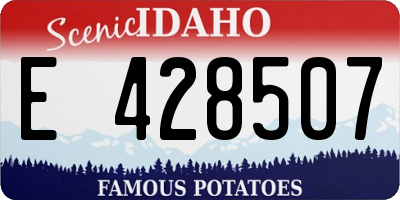 ID license plate E428507