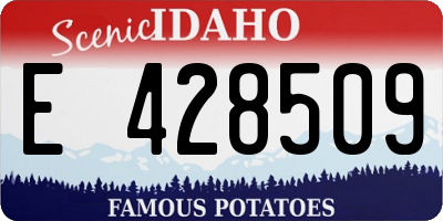 ID license plate E428509