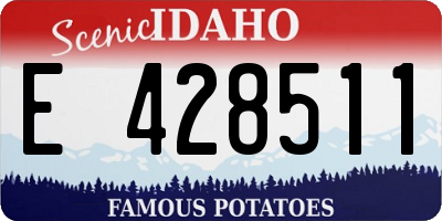 ID license plate E428511