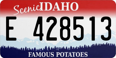 ID license plate E428513