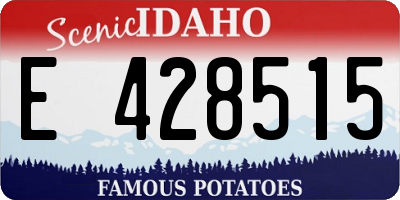 ID license plate E428515