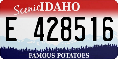 ID license plate E428516