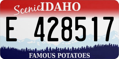ID license plate E428517