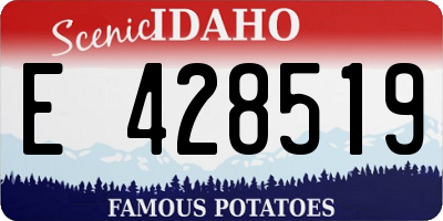 ID license plate E428519