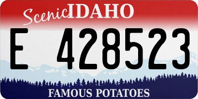 ID license plate E428523