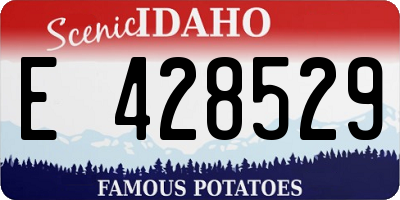 ID license plate E428529