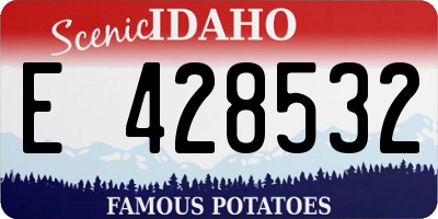 ID license plate E428532