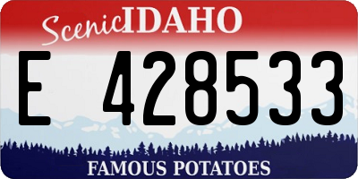 ID license plate E428533