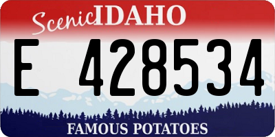 ID license plate E428534