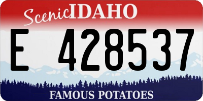 ID license plate E428537
