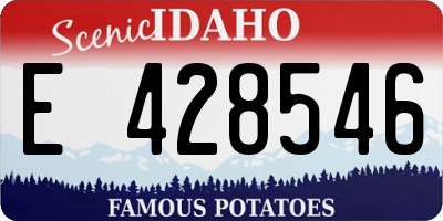 ID license plate E428546