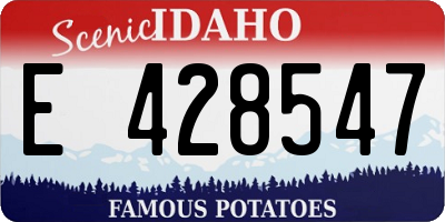 ID license plate E428547