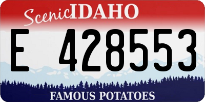 ID license plate E428553
