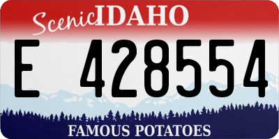 ID license plate E428554