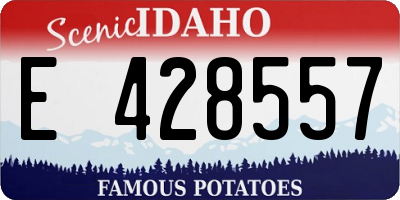 ID license plate E428557