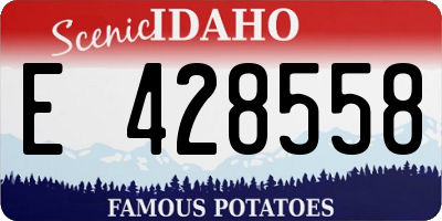 ID license plate E428558