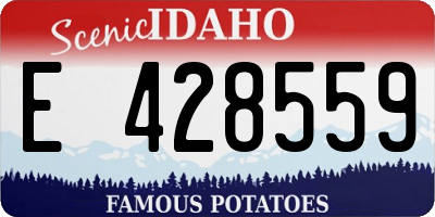 ID license plate E428559