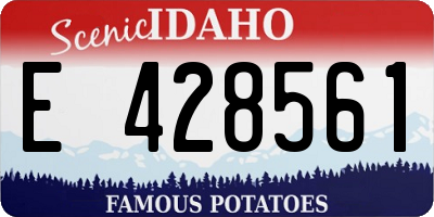 ID license plate E428561