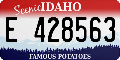 ID license plate E428563