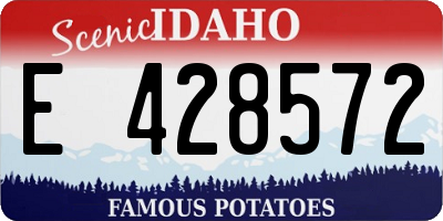 ID license plate E428572